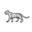 Tiger of Sweden